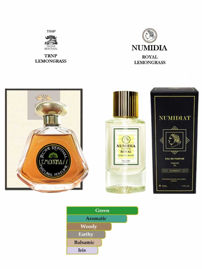 66 KING  SANTAL 33 