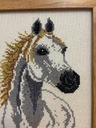 IMG-20250905-WA0071