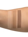 brow_palette_010101