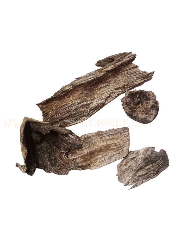 Indonesian Oud Simbawa Forest