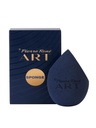 BEAUTY SPONGE ART