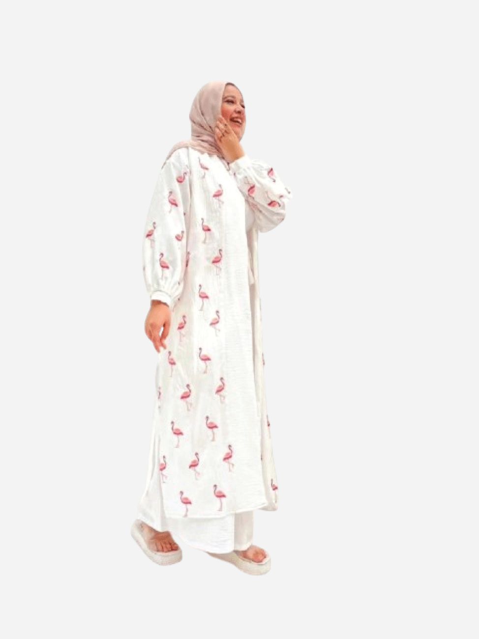 فلامنجو