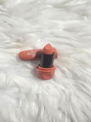 Matte Lipstick from Warda Beauty