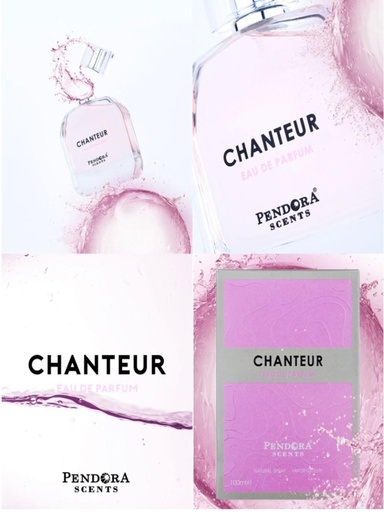 Chanteur