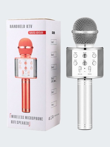 Hand Held KTV Wireless Microphone